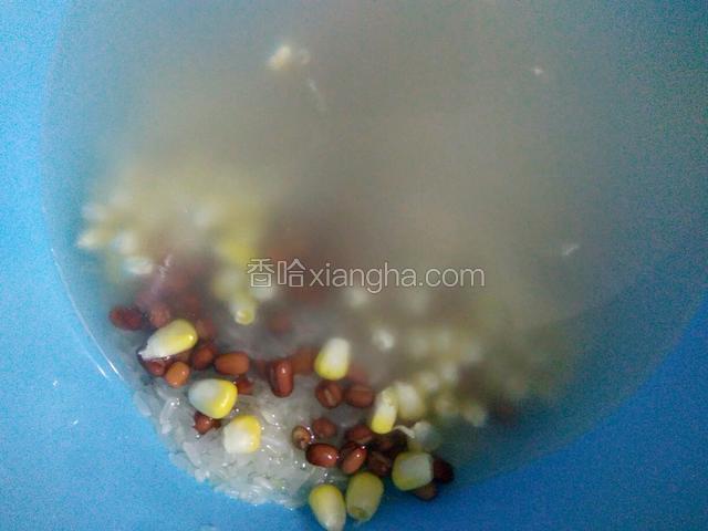 大米红豆玉米一起洗干净，