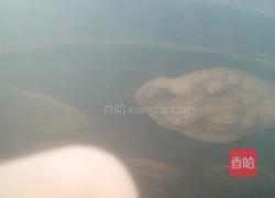 山东大烧饼的做法图解6