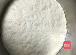 白菜（百财）卷的做法图解3