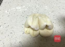 白菜(百财)卷的做法图解11
