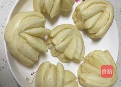 白菜(百财)卷的做法图解13