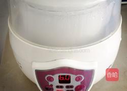 川贝陈皮柠檬膏的做法图解9