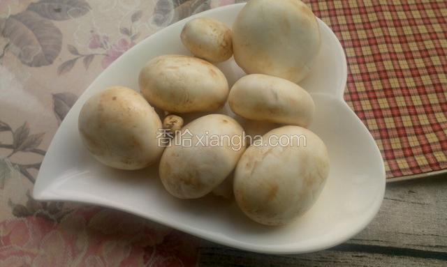 白蘑菇去根洗净