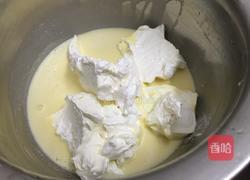 乳酪慕斯蛋糕的做法图解6