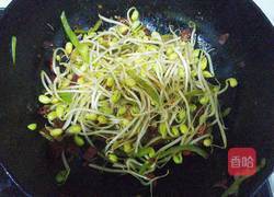辣炒豆芽的做法图解7