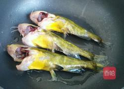 香辣黄骨鱼的做法图解4