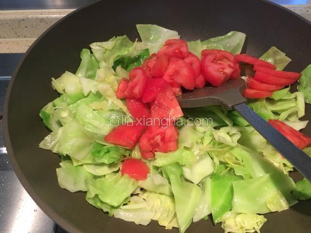 洋白菜炒软时，放入西红柿翻炒。