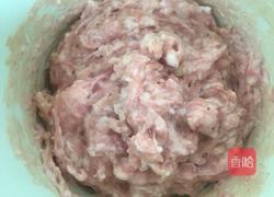 扬州狮子头的做法图解1