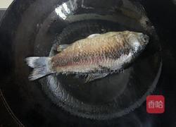 鲫鱼蘑菇汤的做法图解3