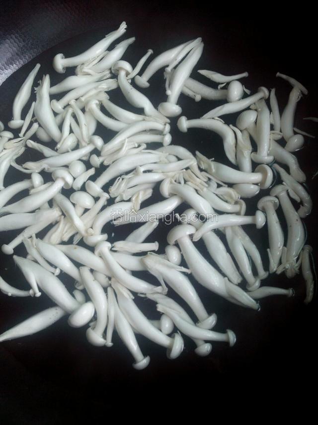 坐锅水，水开后下白玉菇汆烫两分钟。