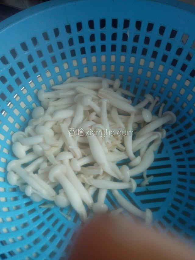 将白玉菇捞出来沥干。