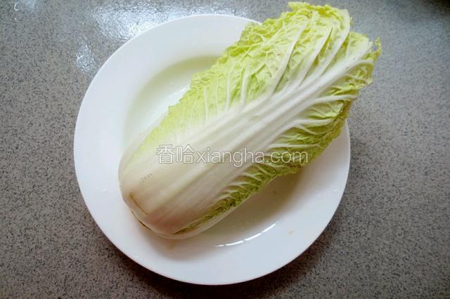准备娃娃菜一棵。