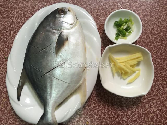 银鲳鱼去除内脏器官后两面表面各切几刀洗净用盐腌制备用，姜切丝，葱切葱花备用