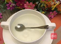 木瓜牛奶炖燕窝的做法图解6