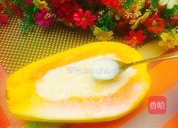 木瓜牛奶炖燕窝的做法图解19