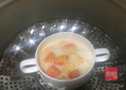燕窝木瓜炖牛奶的做法图解14