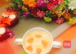 燕窝木瓜炖牛奶的做法图解15