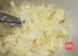 木瓜牛奶炖银耳的做法图解2