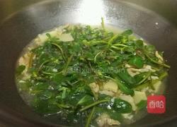 马齿苋瘦肉笋干汤的做法图解8
