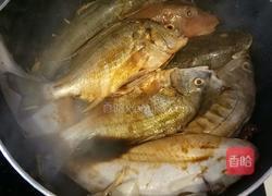 家焖杂瓣鱼的做法图解9