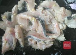 番茄焖鱼的做法图解4