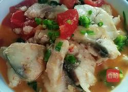 番茄焖鱼的做法图解9