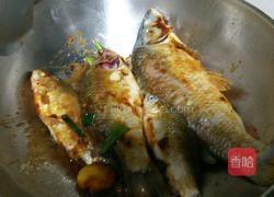 铁锅酱炖鱼的做法图解5