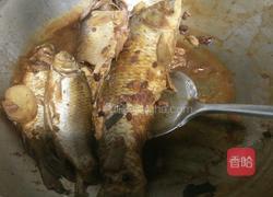 铁锅酱炖鱼的做法图解7