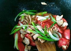 番茄炒猪肉的做法图解5