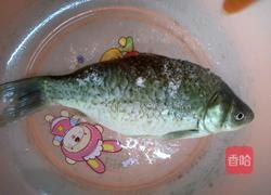 干煎鲫鱼的做法图解2