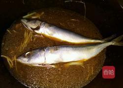 酱焖鲅鱼的做法图解5