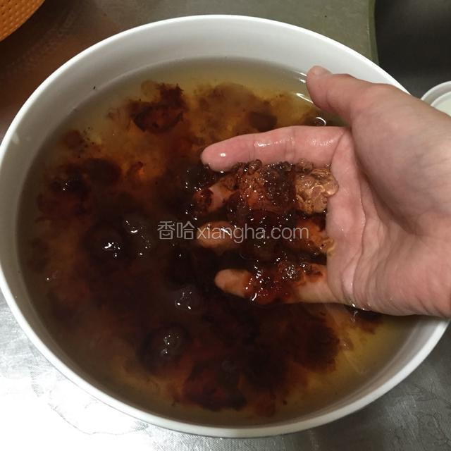 一小撮桃胶就能发一大碗，桃胶发了一个晚上