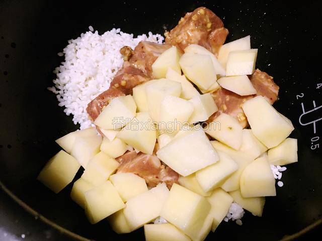 把糯米、排骨、土豆倒入电饭煲内