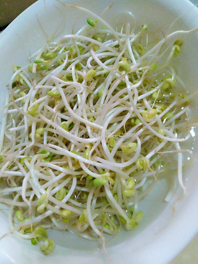 买回来的黄豆芽用清水浸泡十分钟洗干净。