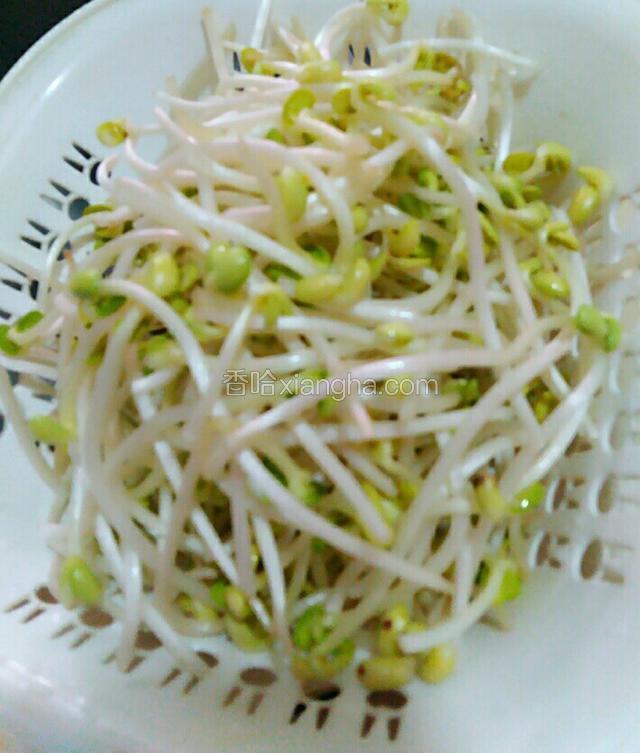 洗干净的黄豆芽掐去根部。