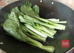 清炒青菜的做法图解4