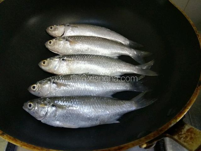 热油锅放鱼入锅煎