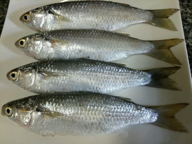 梭鱼洗干净，用料酒抹匀，腌一下