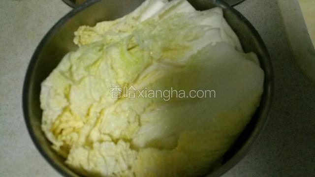 大白菜掰开洗净，每片叶子上都抹匀盐