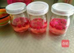 火龙果果冻的做法图解11
