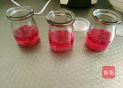 火龙果果冻的做法图解12