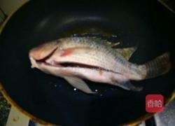 紫苏炖鱼的做法图解4