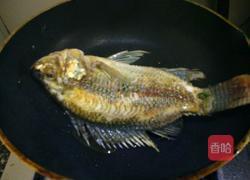 紫苏炖鱼的做法图解5