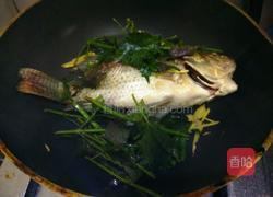 紫苏炖鱼的做法图解6