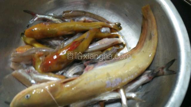 鱼去内脏，去腮，洗净