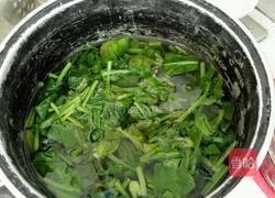 枸杞拌菠菜的做法图解4