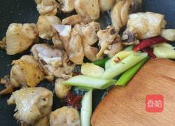 啤酒炖鸡的做法图解5