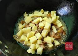 土豆焖鸡的做法图解4
