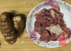 排骨煲的做法图解1