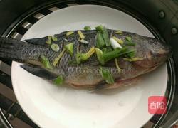 蒜香鲫花鱼的做法图解2